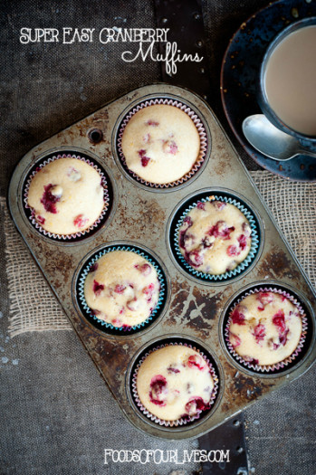 Jeremiah's Favorite Cranberry Muffins | FoodsOfOurLives.com