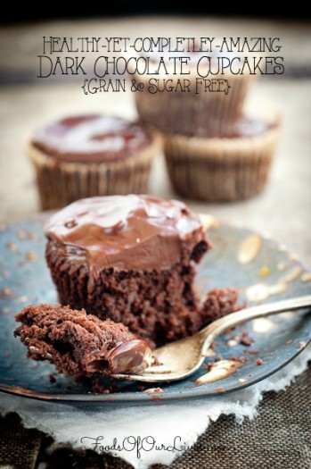 GFSF Dark Chocolate Cupcakes | FoodsOfOurLives.com