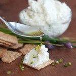 Homemade Roasted Garlic and Chive Chèvre