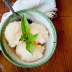 Grapefruit Sorbet {with a twist}